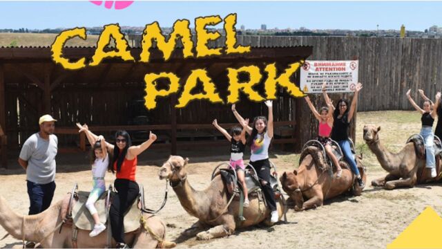 camel-park-sunnybeach-ravda-1